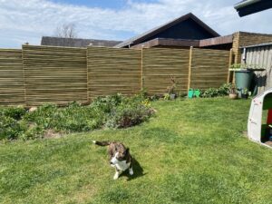 Raftehegn i trykimprægneret fyr – klassisk havehegn